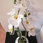 Appartement Perla Del Golfo