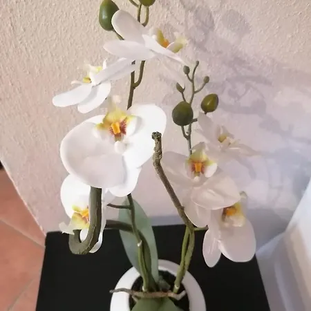 Apartmán Perla Del Golfo
